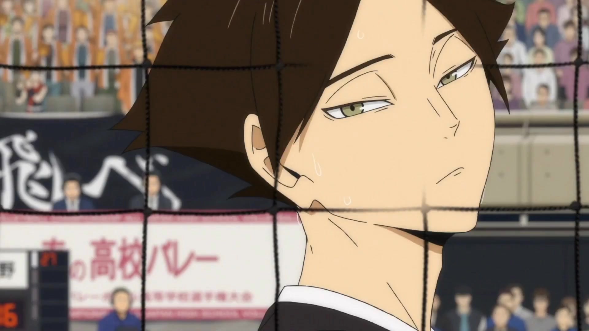 suna_5-10x-RIFE-RIFE4.6-239.76fps.mp4
